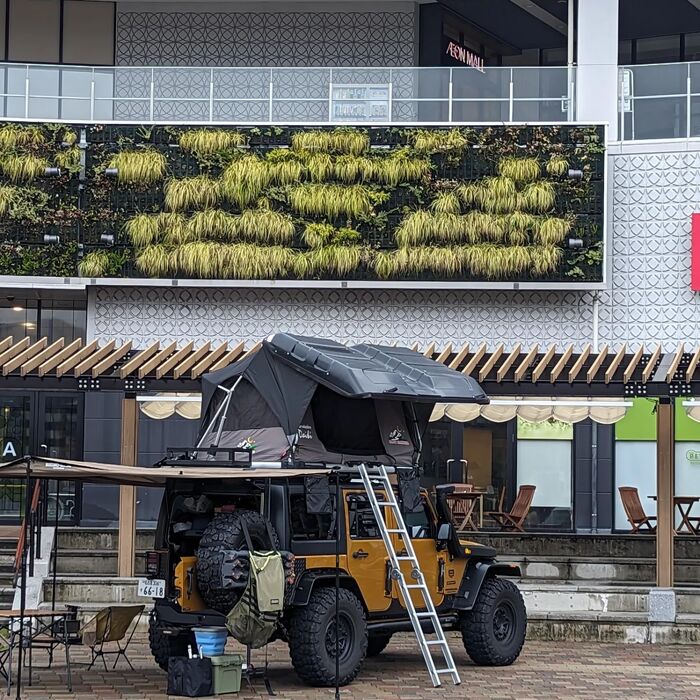 画像535